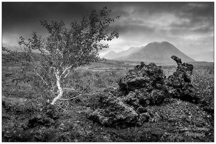 Islande - noir et blanc