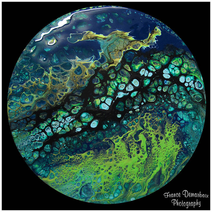 NESSIE monstre du Loch Ness - carton 26cm diam