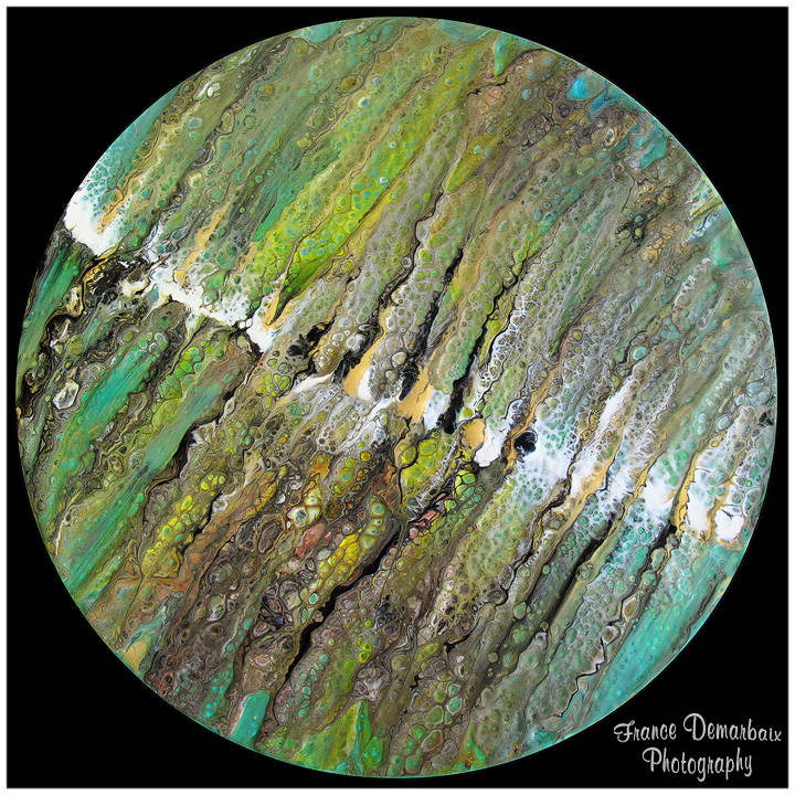 ALGUES MARINES - carton 26cm diam