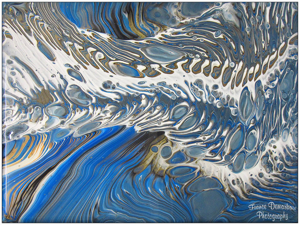 FOSSILE - toile 30x40cm